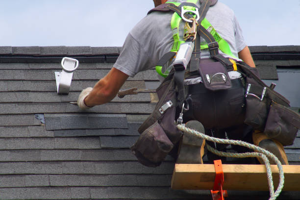 Best Shingle Roofing Installation  in Hawthorne, FL