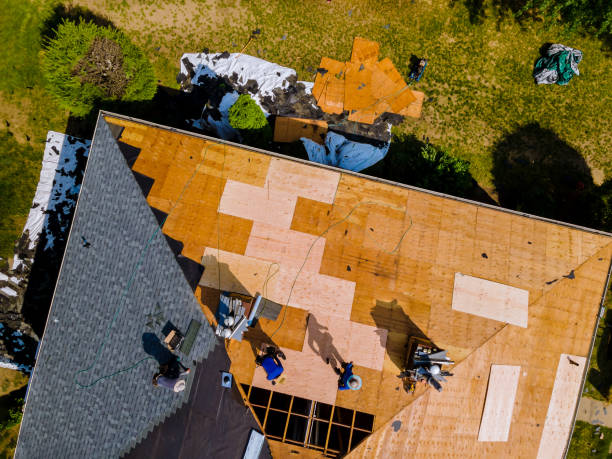Best Residential Roofing Contractor  in Hawthorne, FL